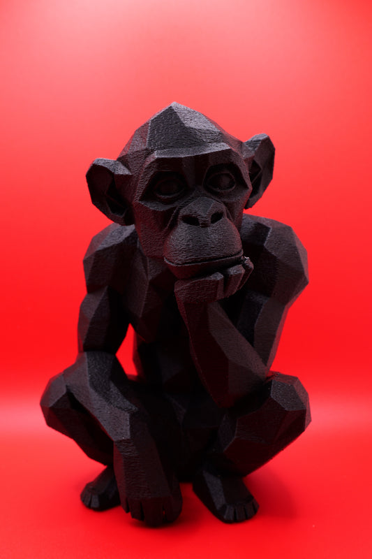 Singe Géométrique