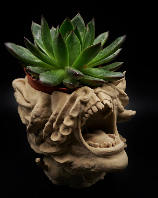 Cache-pot claqueur
